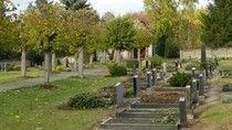 Friedhof Bornsen