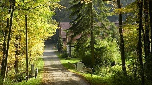ANJ Forstservice GmbH