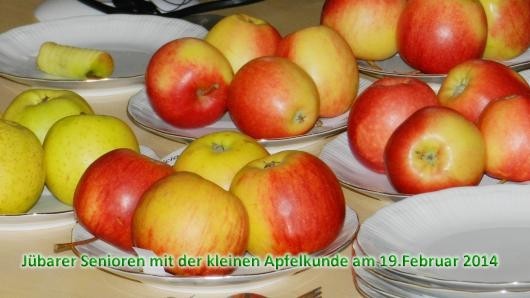 Senioren-20140219