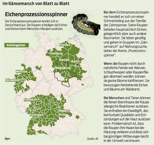20140319 Volksstimme - Gemeinde Jübar - Eichenprozessionsspinner