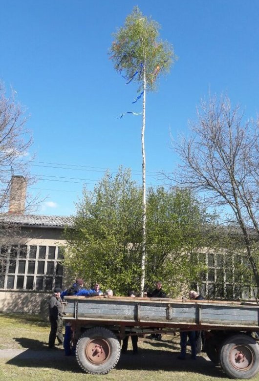 - Nettgau - Der Maibaum steht! -