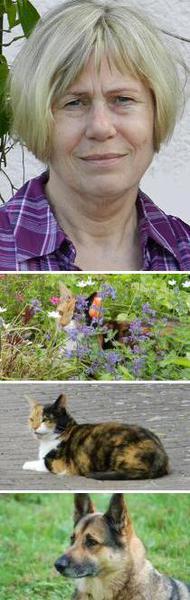 - Pension Ingrid Krause, Bornsen -
