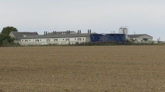 - Schweinemastanlage Jübar -