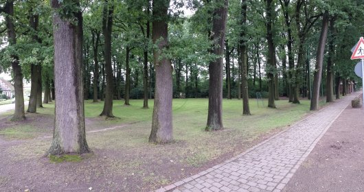 Unter den Eichen vor dem Fest