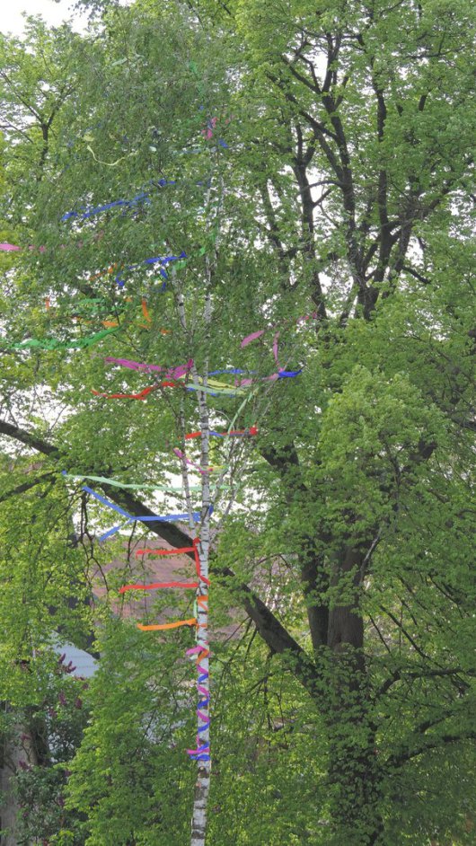 20190501 Nettgau - Maibaum
