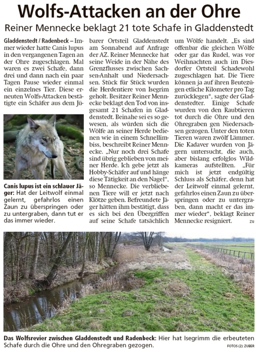 20200218 Altmark Zeitung - Gladdenstedt - Reiner Mennecke beklagt 21 tote Schafe (Kai Zuber)