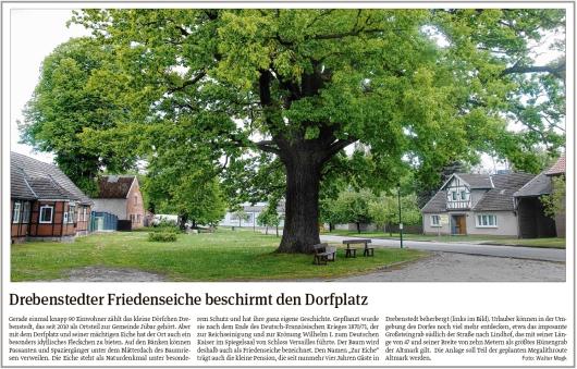 20200613 Volksstimme - Drebenstedter Friedenseiche beschirmt den Dorfplatz (Walter Mogk)