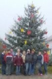 Weihnachtsbaum
