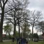 - Wendischbrome - Maibaum aus Lüdelsen ersteigert -