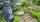 - Pension Ingrid Krause, Bornsen -