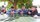 20170820 - Bornsen - 9. Trecker-/Oldtimertreffen -